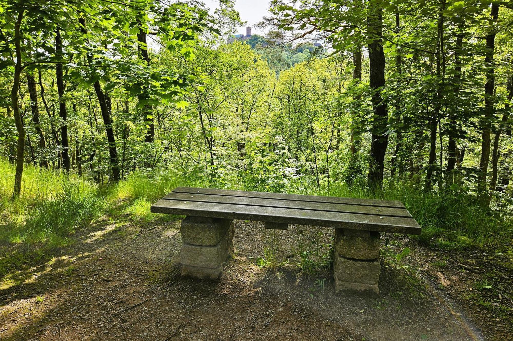 Ferienwohnung Villa Funcke Eisenach Dış mekan fotoğraf